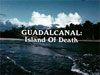 Screenshot for Guadalcanal : Island of Death