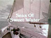 Screenshot for Seas of Sweet Water